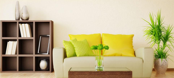 Shelve