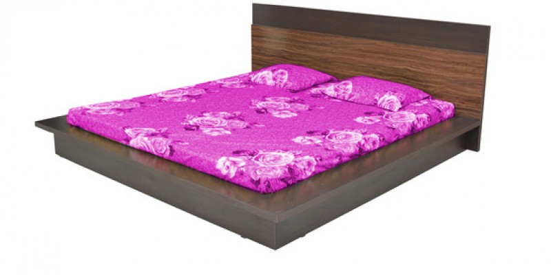 Abner King Bed with Walnut Colour